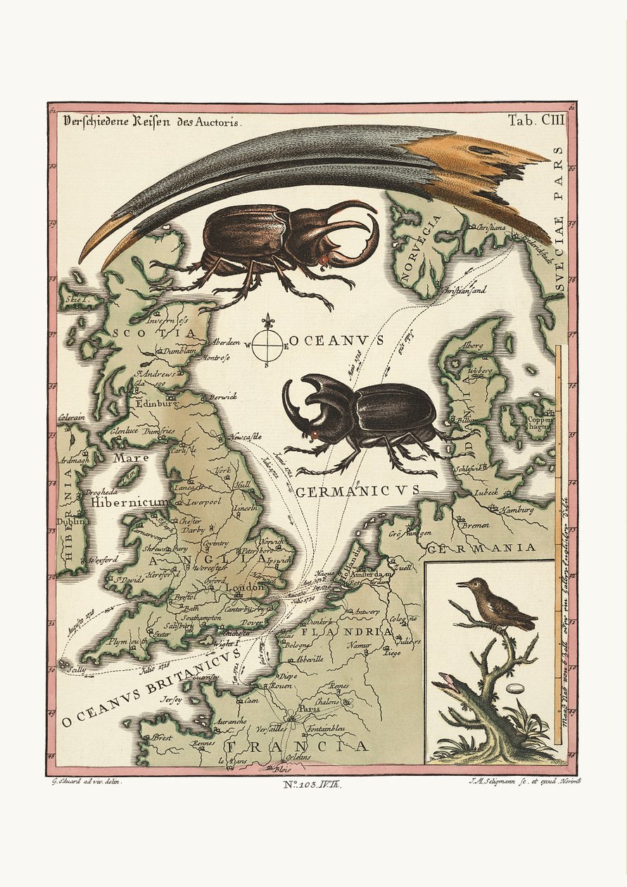 The Bill of the Egyptian Ibis and the least Hummingbird, 1749-73 av George Edwards