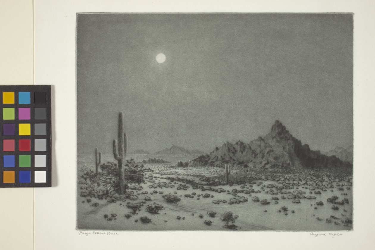  av George Elbert Burr