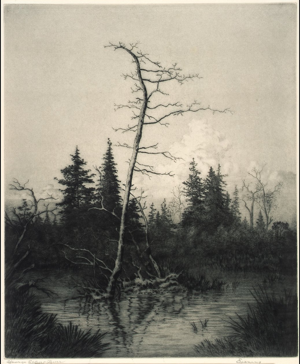  av George Elbert Burr