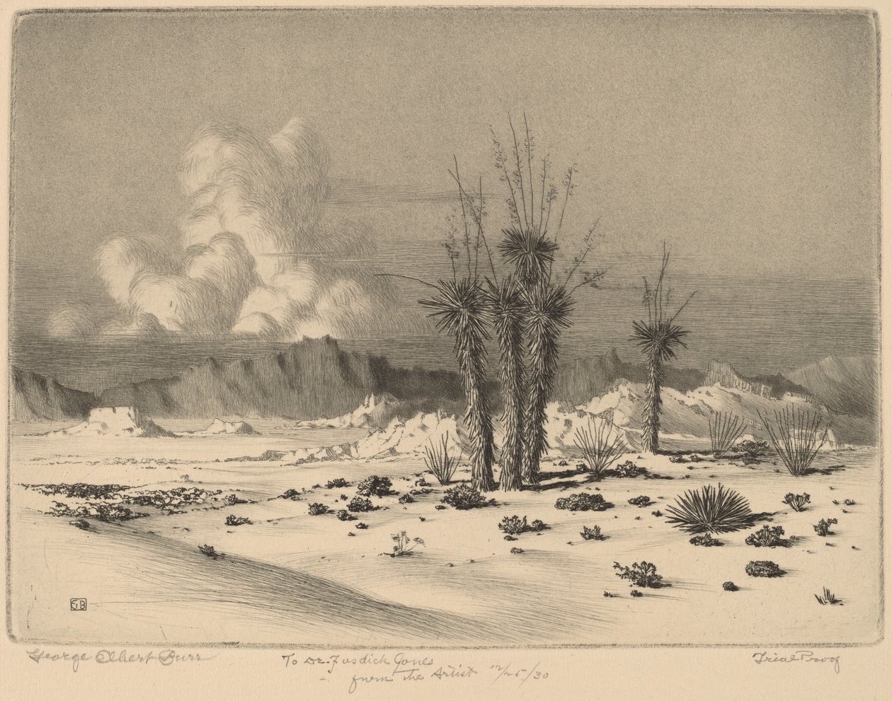 Kveld, Arizona av George Elbert Burr
