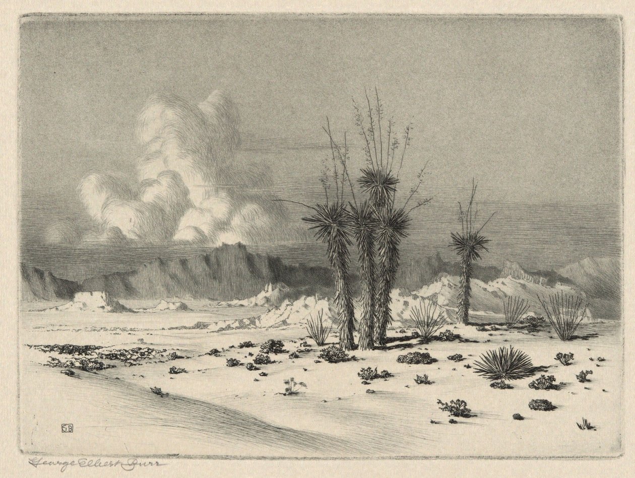 Kveld, Arizona av George Elbert Burr