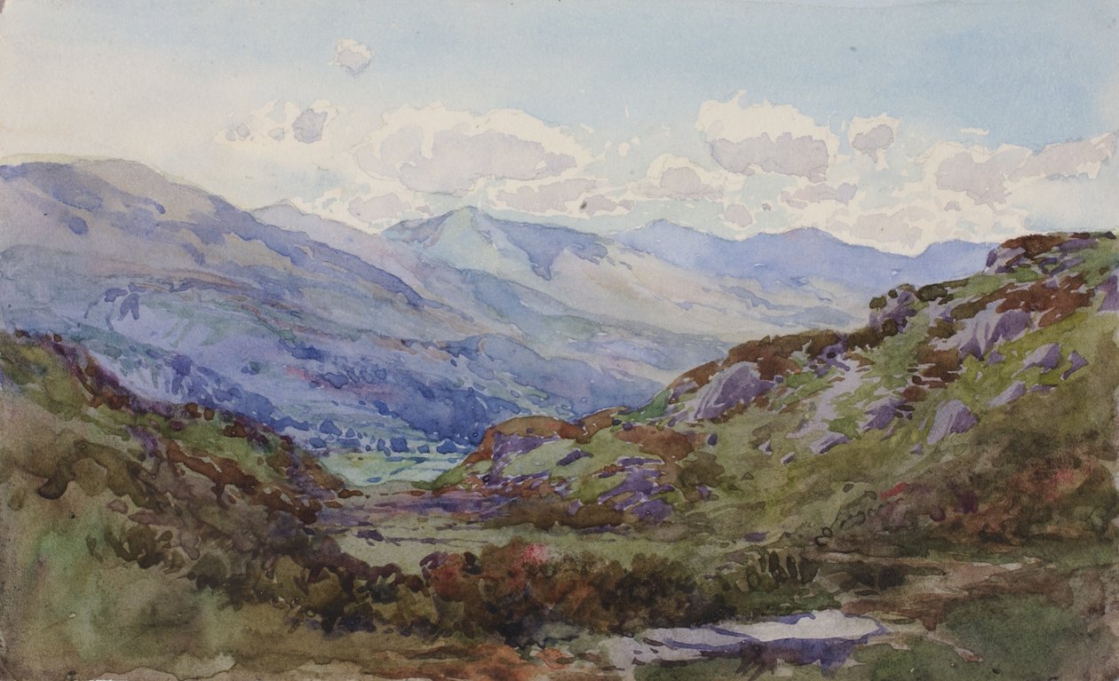 Fra oven Pont-y-Pant, 1899. av George Elbert Burr