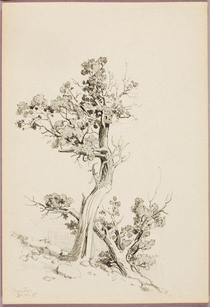  av George Elbert Burr
