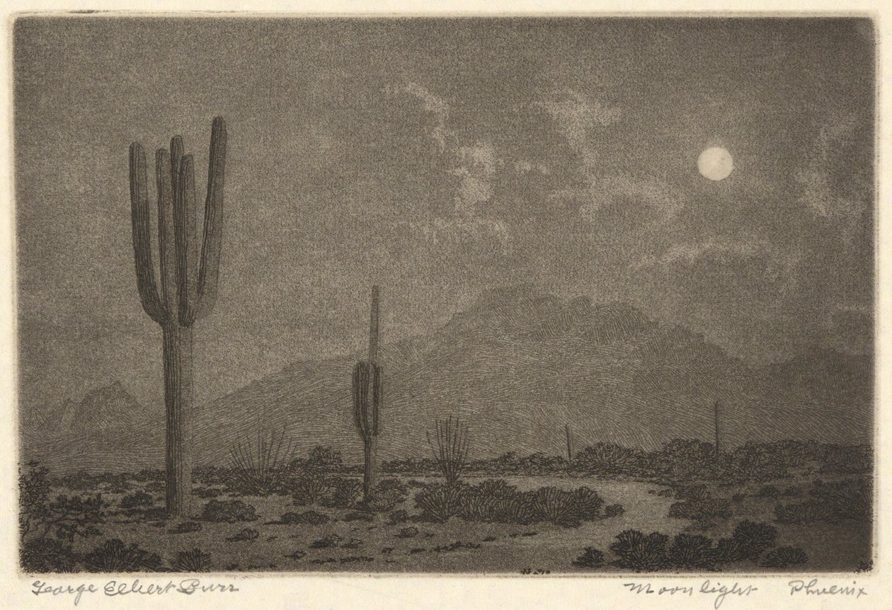 Måneskinn-Phoenix av George Elbert Burr