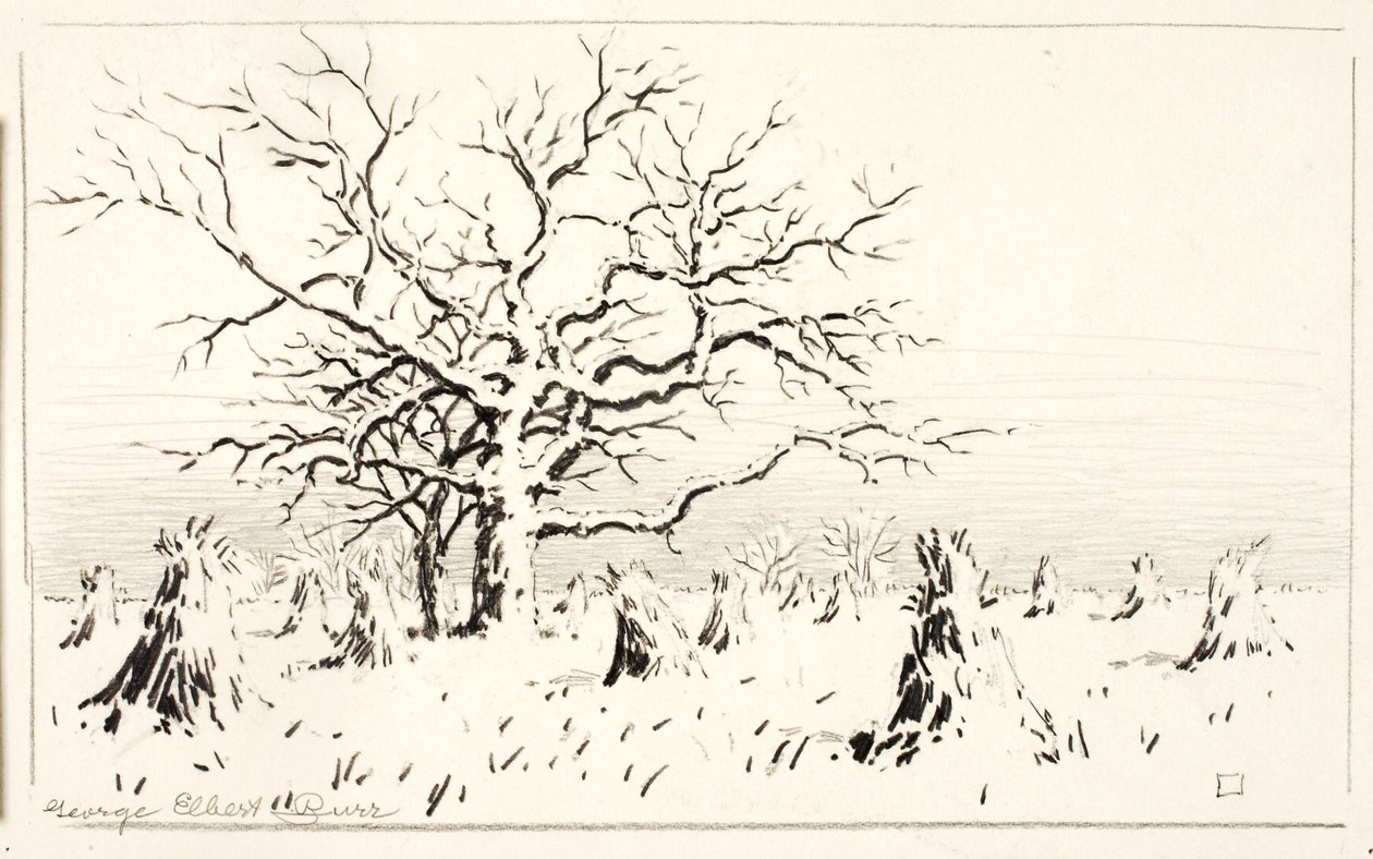  av George Elbert Burr