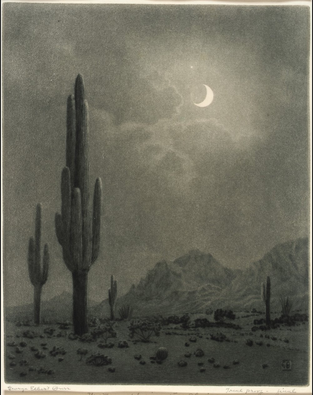 Nymåne og aftenstjerne, Phoenix av George Elbert Burr