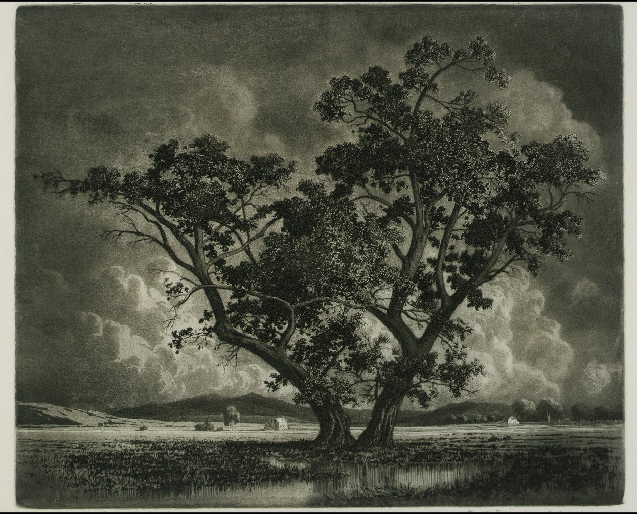  av George Elbert Burr