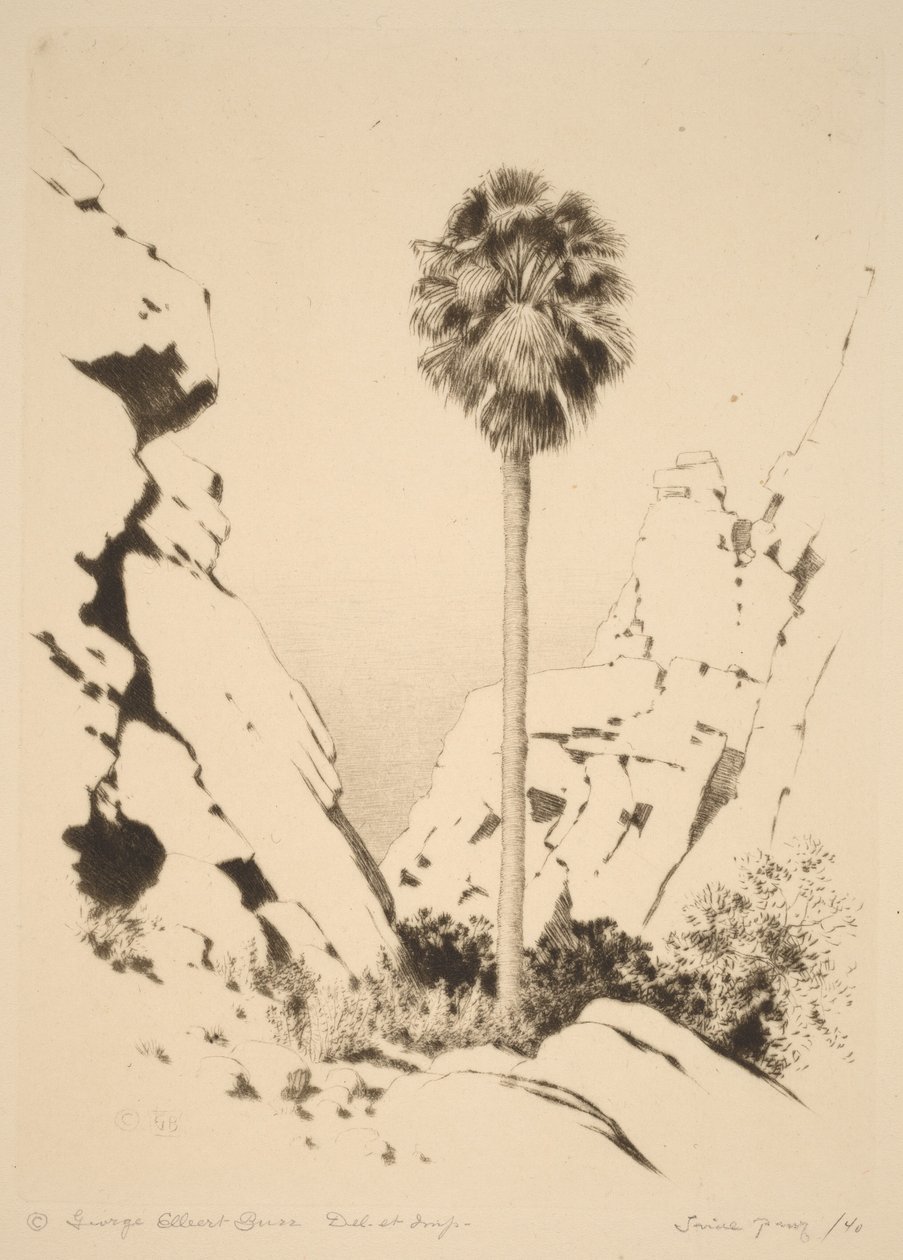 Palm Canyon (nr. 1) av George Elbert Burr