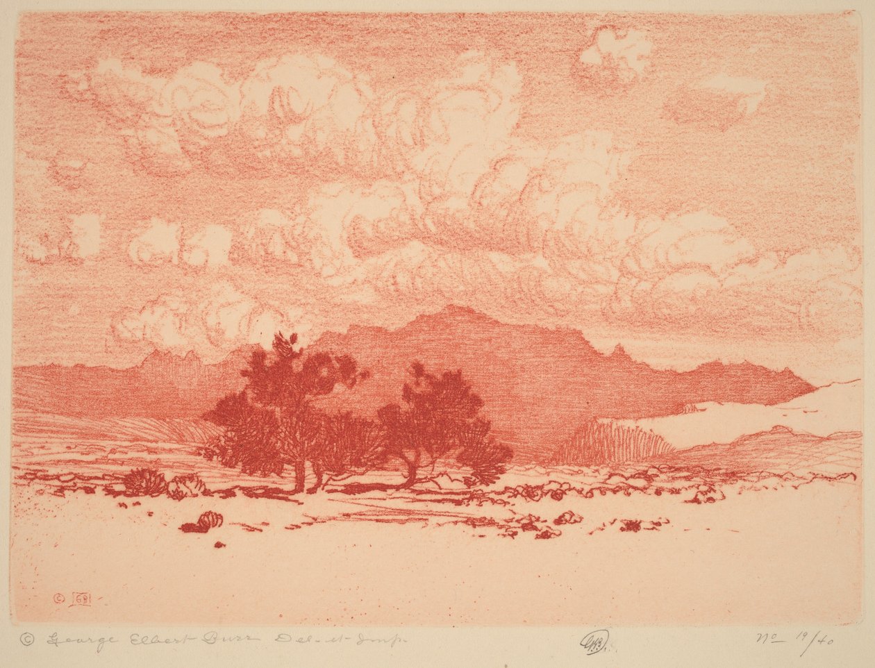 Palo verde-trær av George Elbert Burr