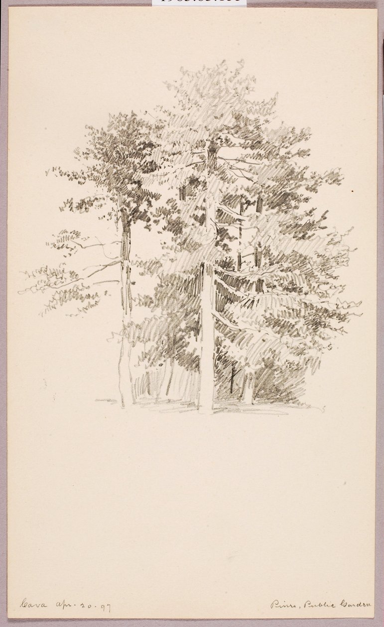  av George Elbert Burr