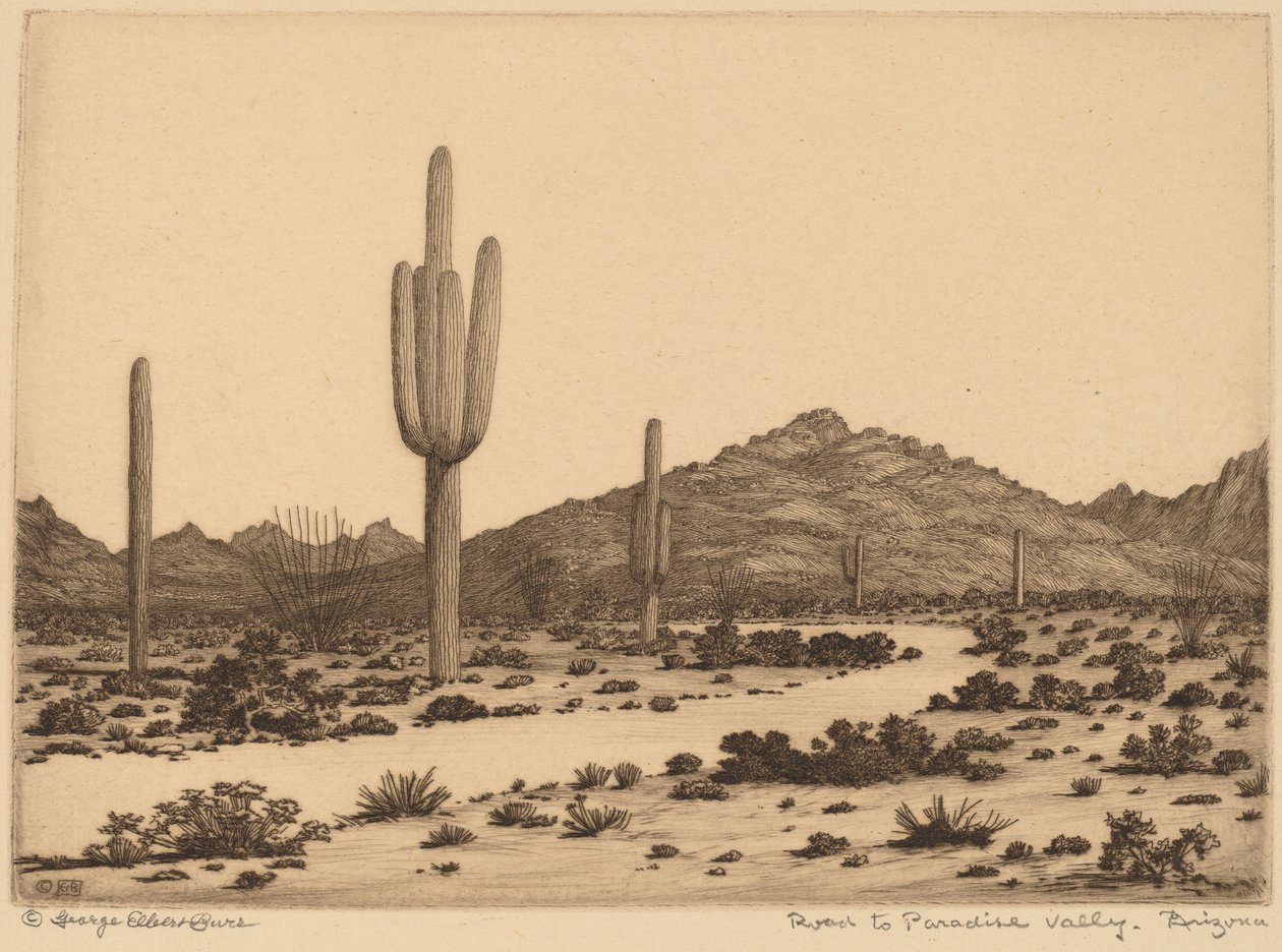 Veien til Paradise Valley, Arizona av George Elbert Burr