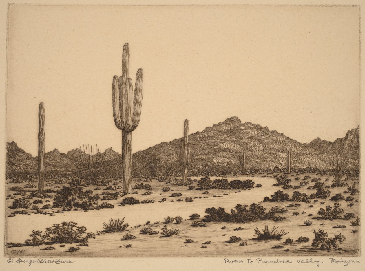 Veien til Paradise Valley, Arizona av George Elbert Burr