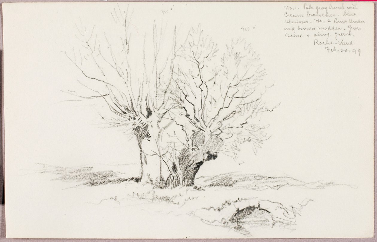  av George Elbert Burr