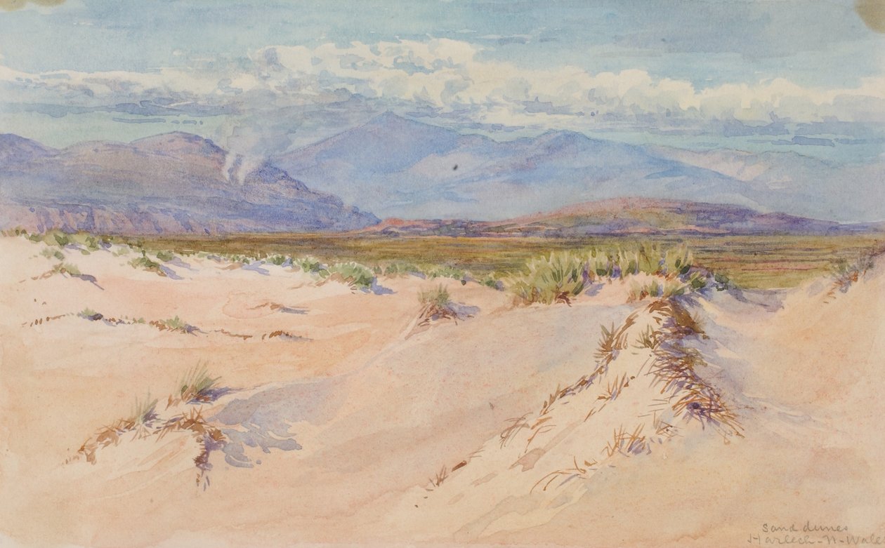  av George Elbert Burr