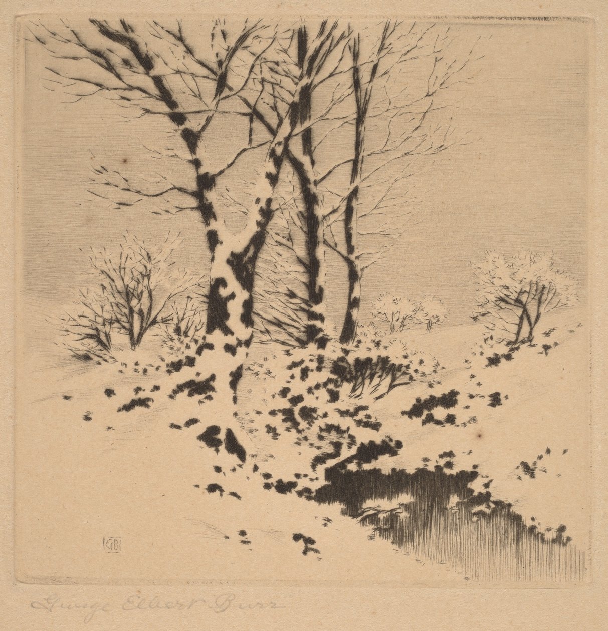 Snø av George Elbert Burr