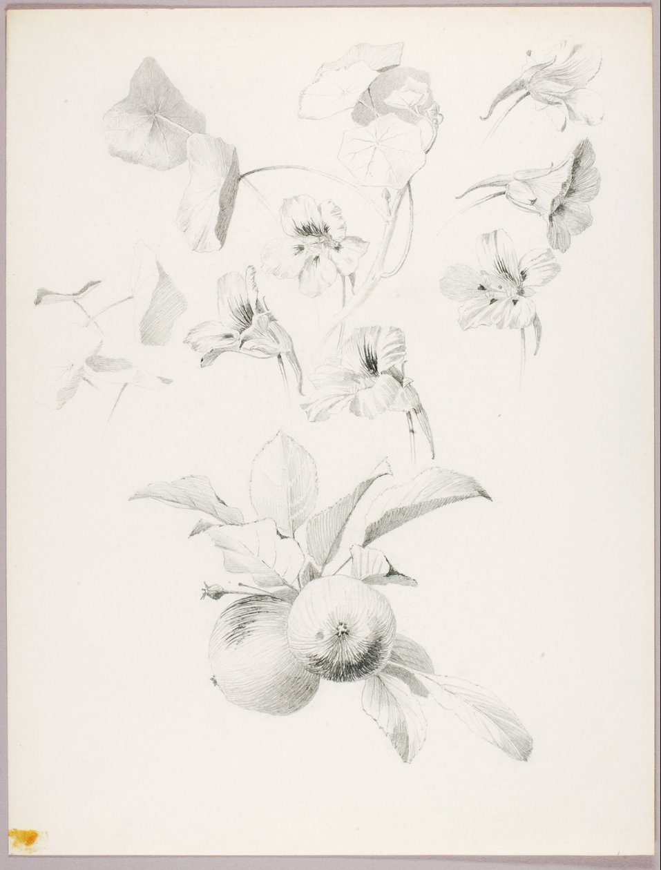  av George Elbert Burr