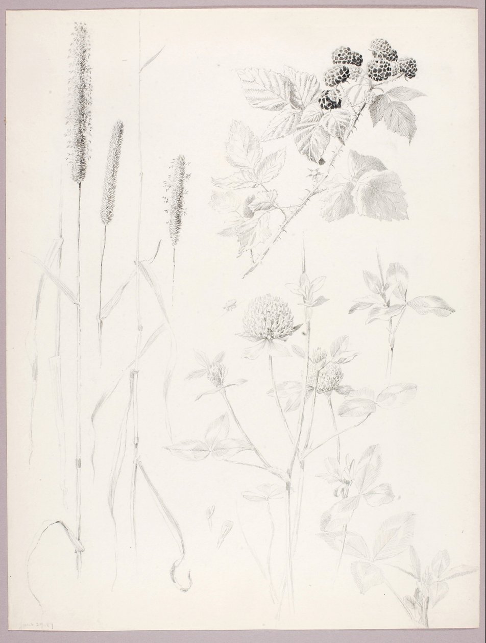  av George Elbert Burr