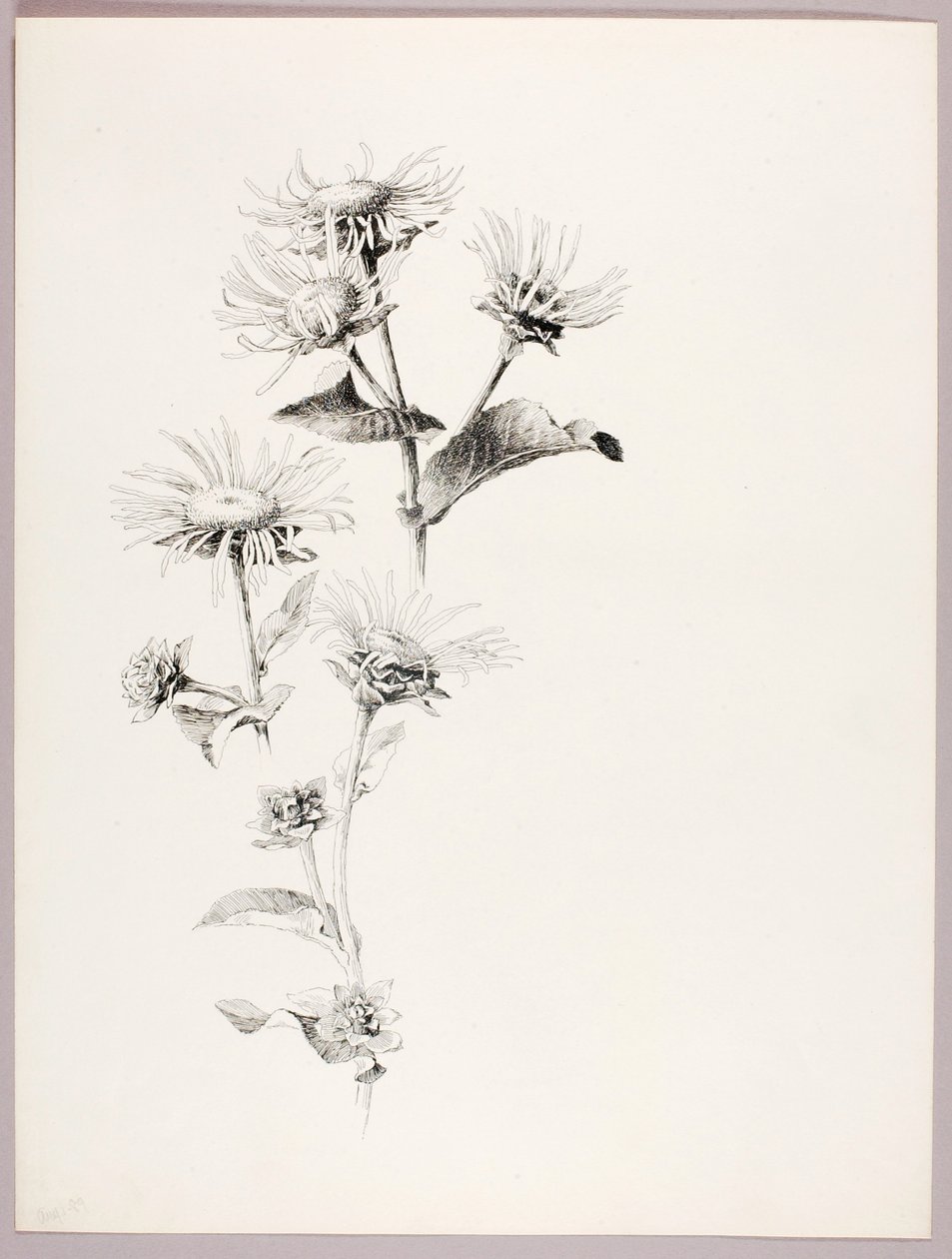  av George Elbert Burr