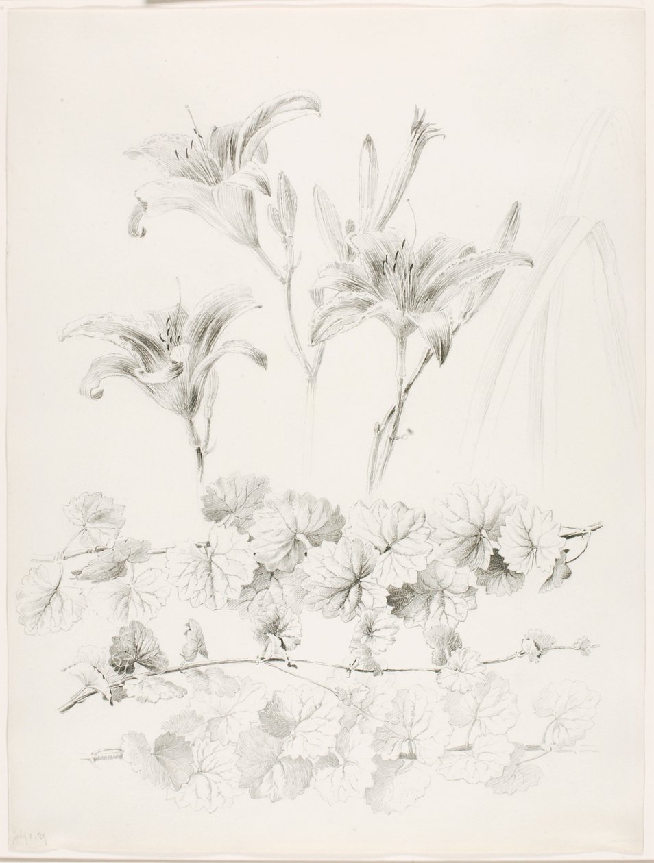  av George Elbert Burr