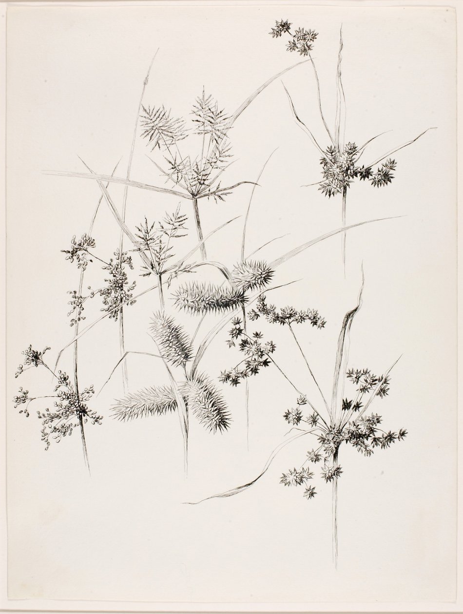  av George Elbert Burr