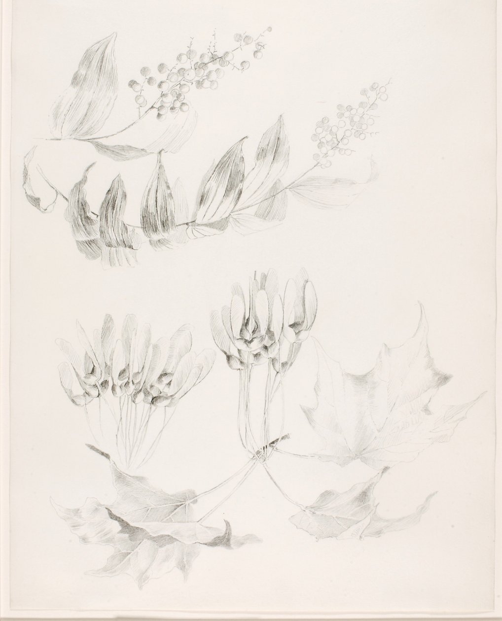  av George Elbert Burr