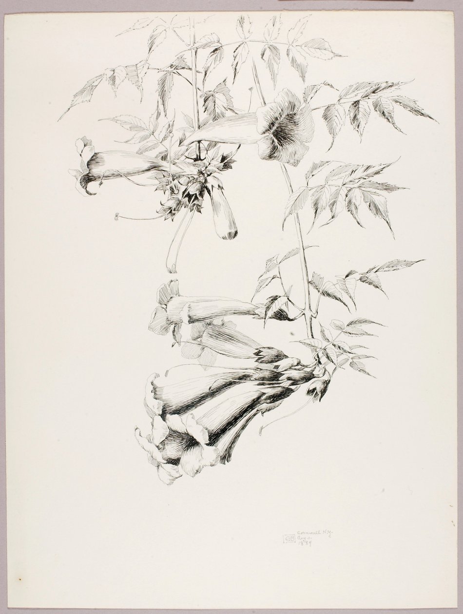  av George Elbert Burr