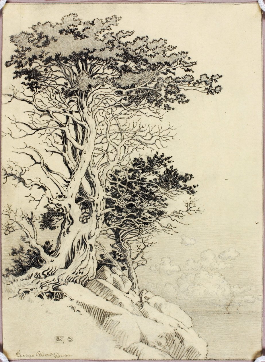  av George Elbert Burr