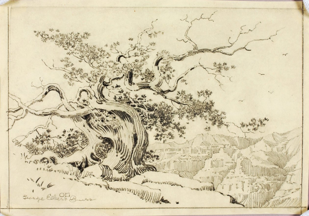 Uten tittel (overføringstegning til Kveld, Apache Trail, Arizona) av George Elbert Burr