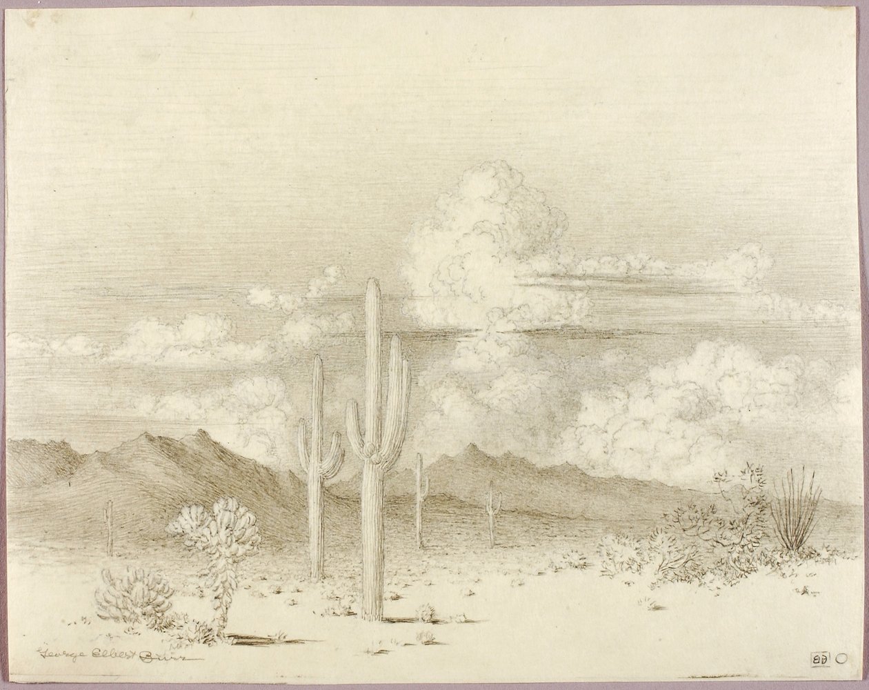 Uten tittel (overføringstegning til Kveld, Paradise Valley, Arizona) av George Elbert Burr