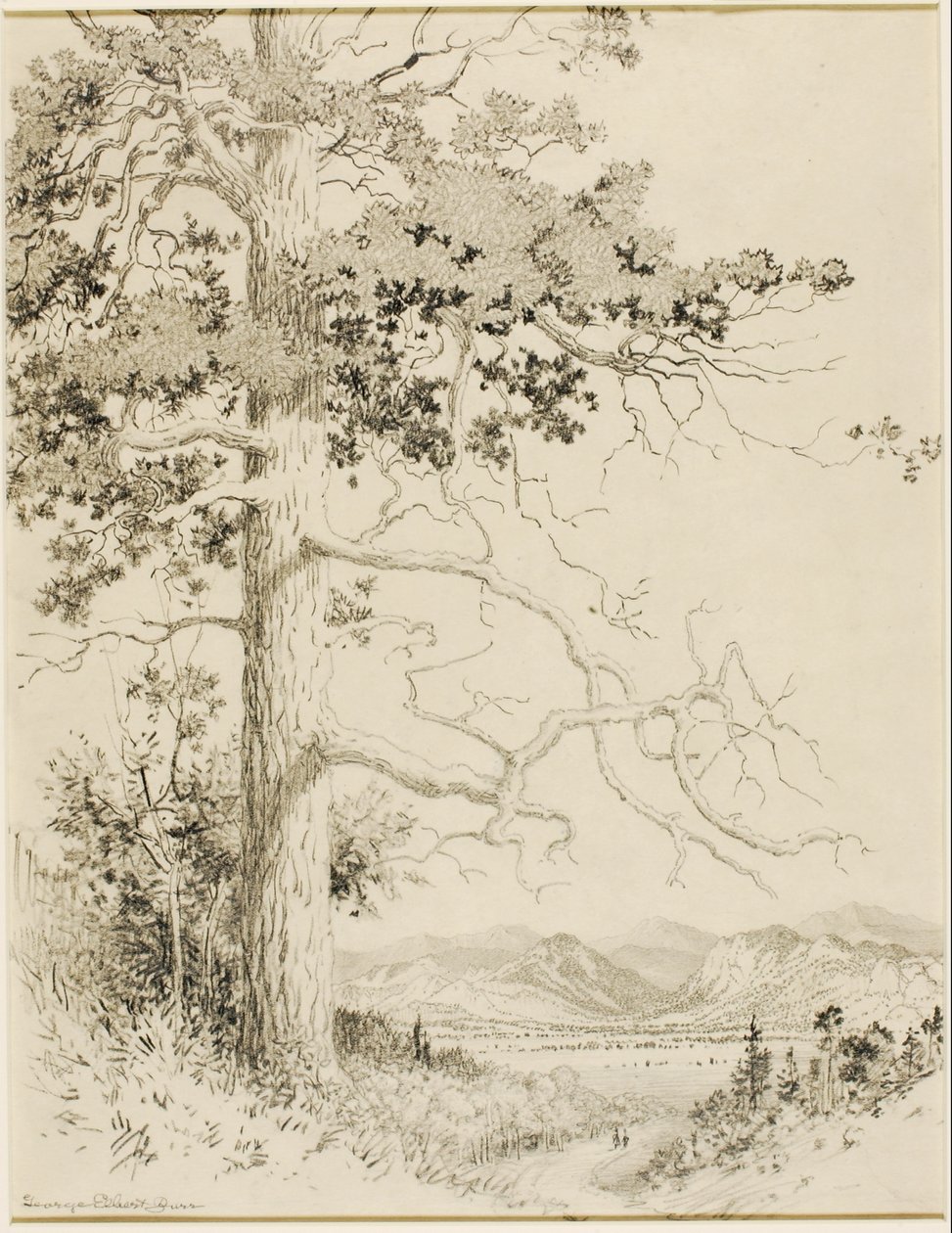  av George Elbert Burr