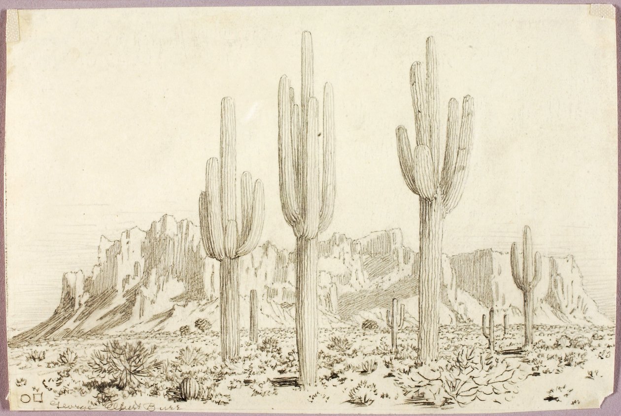  av George Elbert Burr