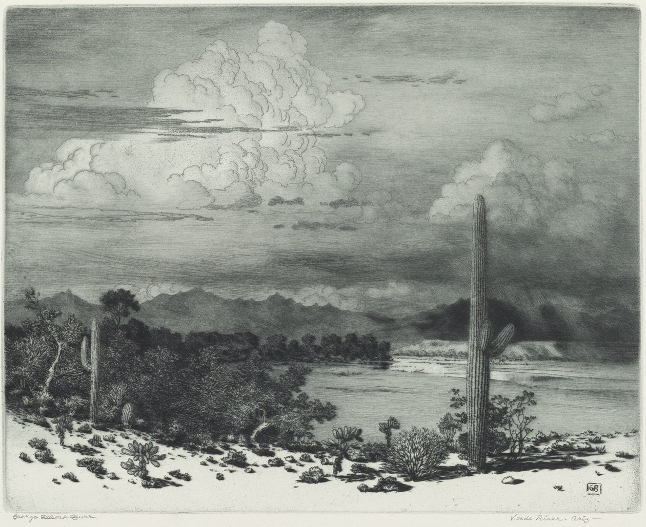 Verde River, Arizona av George Elbert Burr