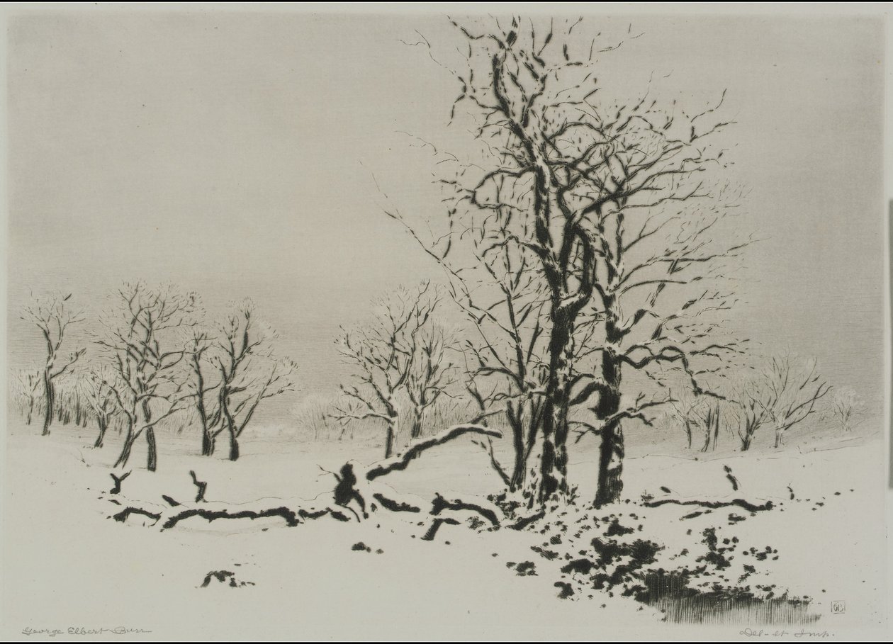 Vinter (nr. 1) av George Elbert Burr