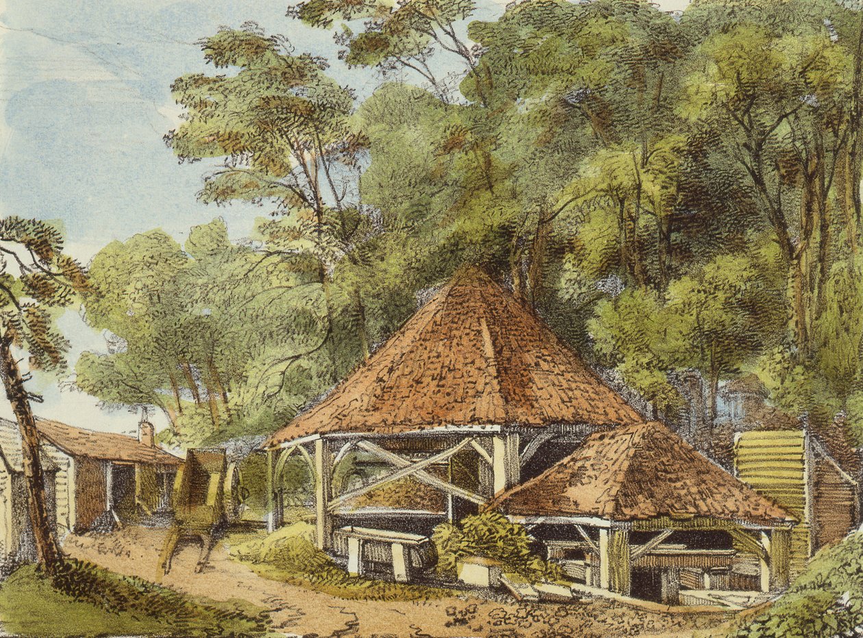 Water Works, Kew Gardens, plate 22 fra Kew Gardens: A Series of Twenty-Four Drawings on Stone, gravert av Charles Hullmandel (1789-1850) utgitt 1820 (håndkolorert lito) av George Ernest after Papendiek
