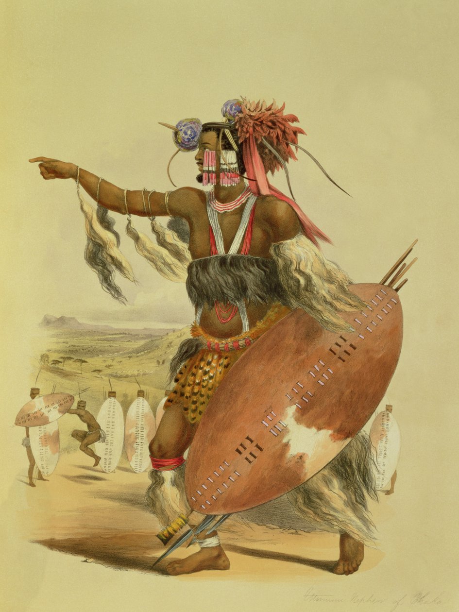 Zulu-kriger, Utimuni, nevø til Chaka, den avdøde Zulu-kongen, plate 13 fra 
