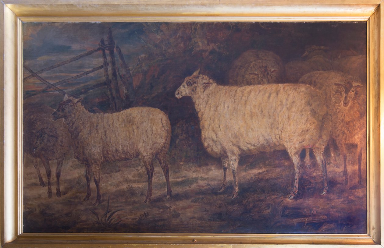 Forbedringen av sauerasen South Down ved Holkham i Norfolk, 1793-1807 av George Garrard