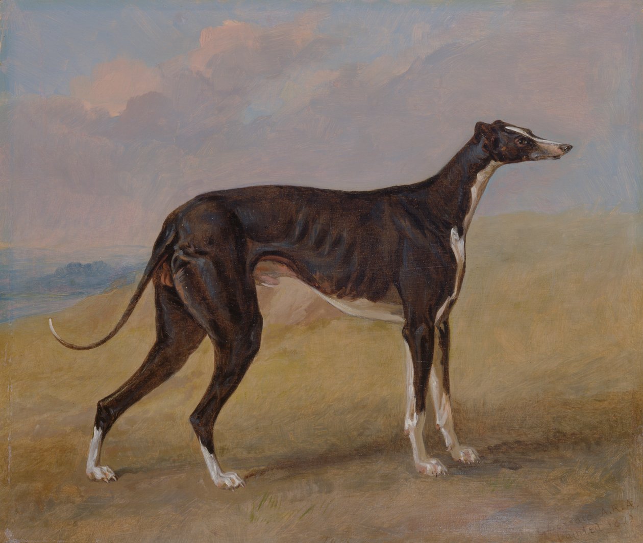 Turk, en mynde, eiendommen til George Lane Fox av George Garrard
