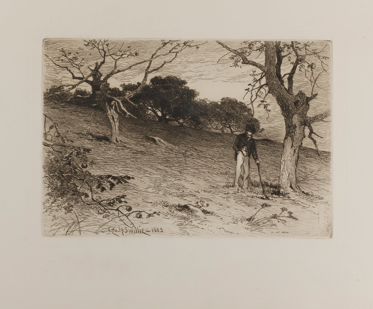  av George H. Smillie