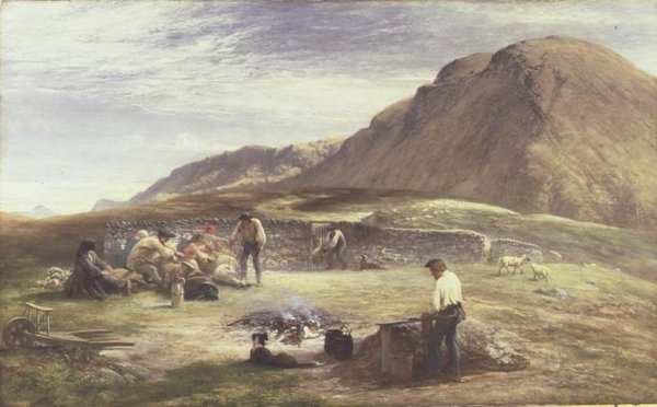 Saueklipping av George Harvey