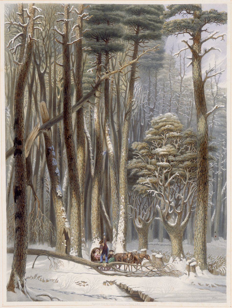Winter, Impeded Traveler in a Pine Forest, fra Harveys Scenes of the Primitive Forest of America, 1841 (håndfarget akvatint) av George Harvey