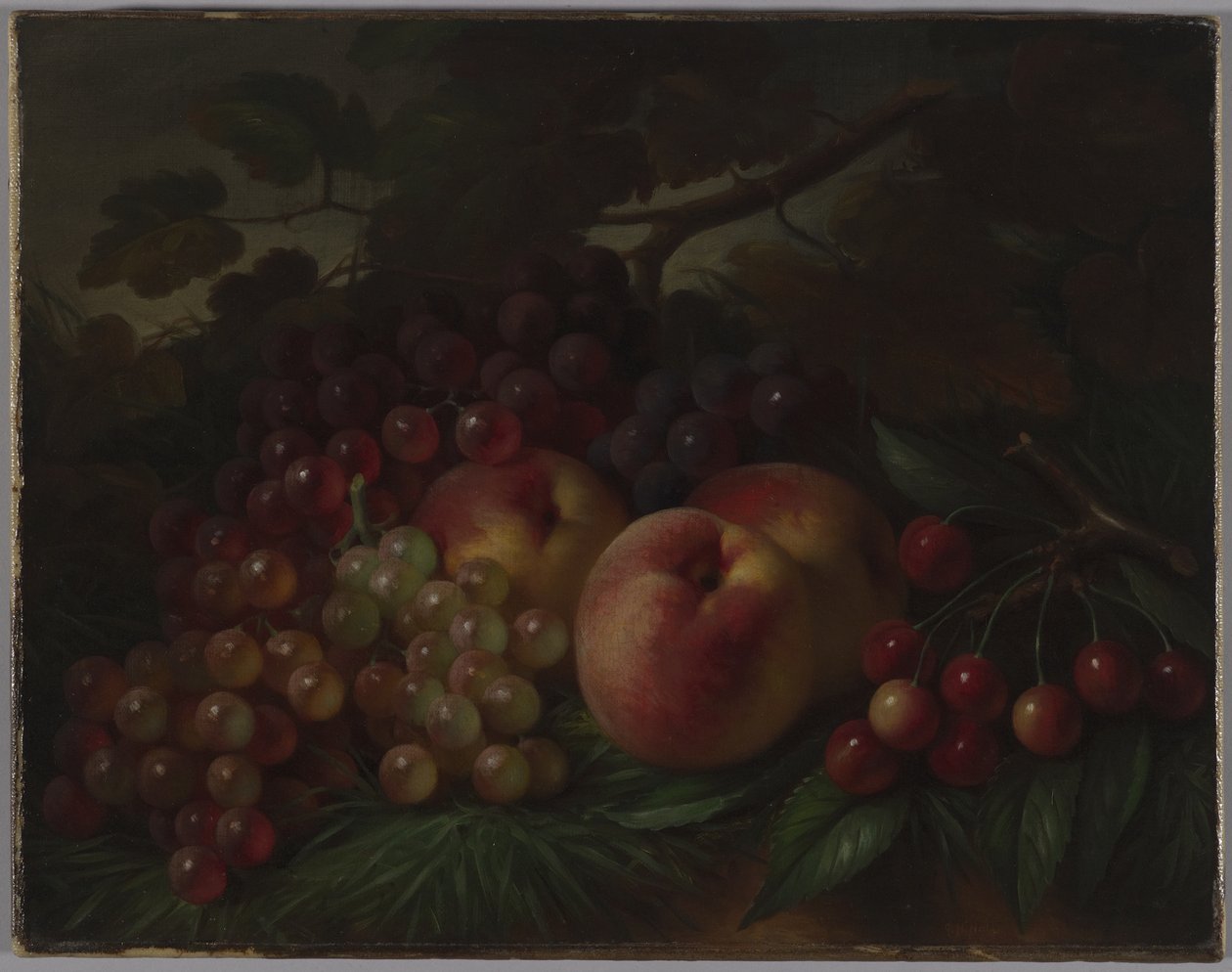 Fersken, druer og kirsebær, ca. 1860-70 (olje på lerret) av George Henry Hall