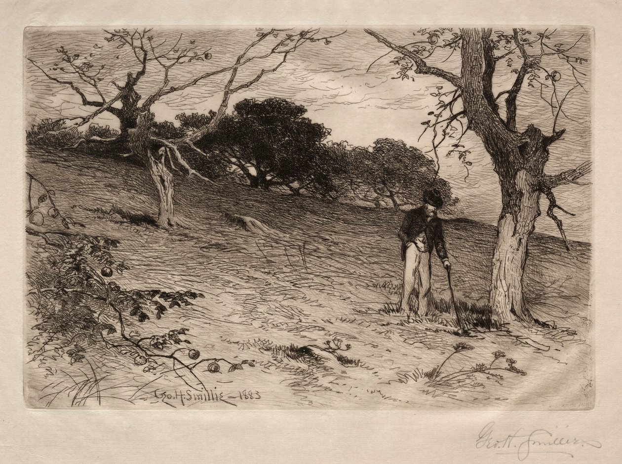 An Old New England Orchard, 1883. av George Henry Smillie