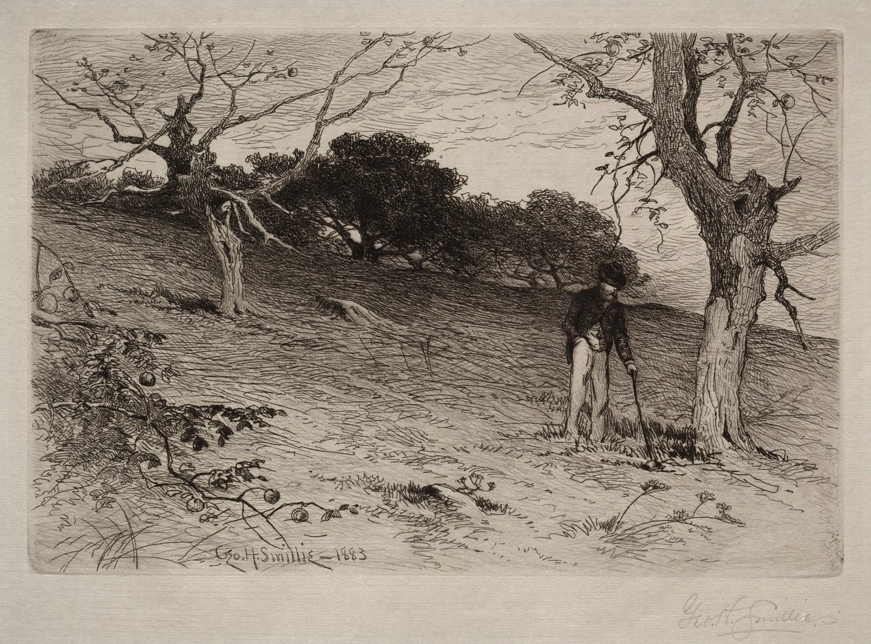 Landskap, 1883. av George Henry Smillie
