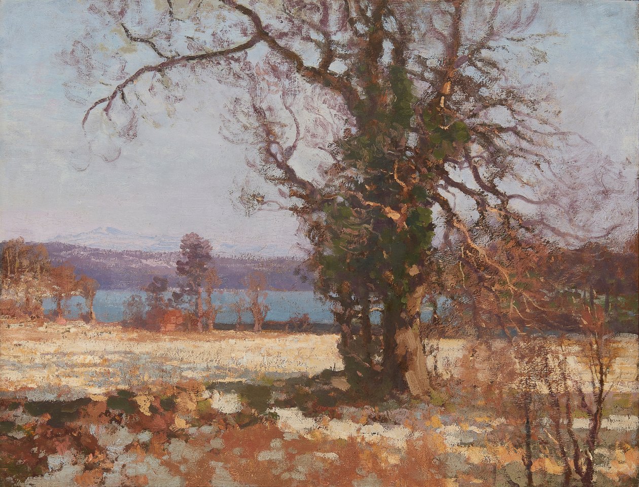 Winter Sunshine (olje på lerret) av George Houston