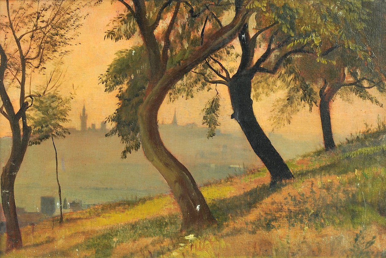 Friedberg i Hessen fra Johannisberg Nauheim, 1903 av George Howard