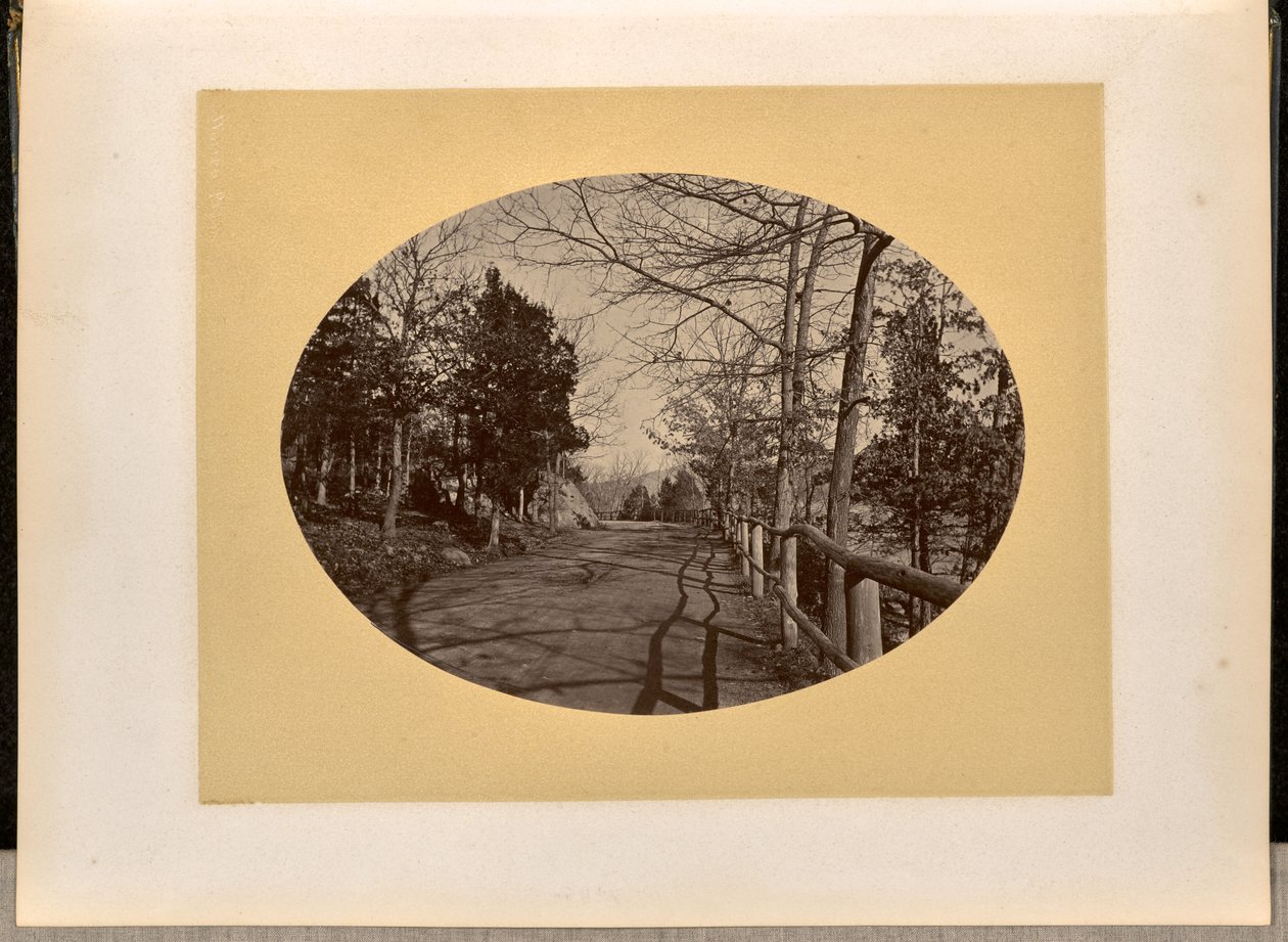 [Straße, West Point] av George Kendall Warren