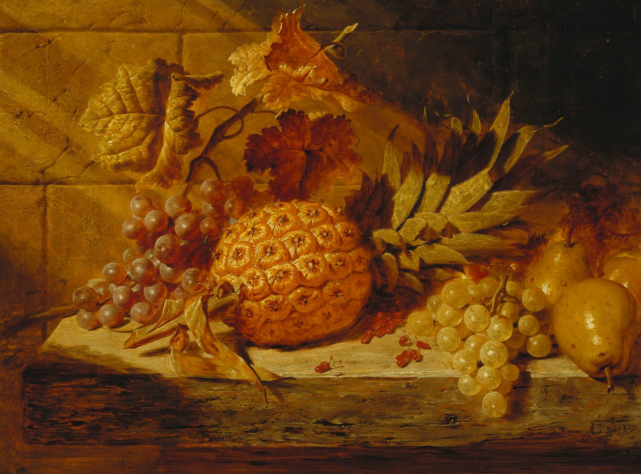 Svarte og hvite druer, pærer, rips og en ananas på en hylle, 1845 av George Lance