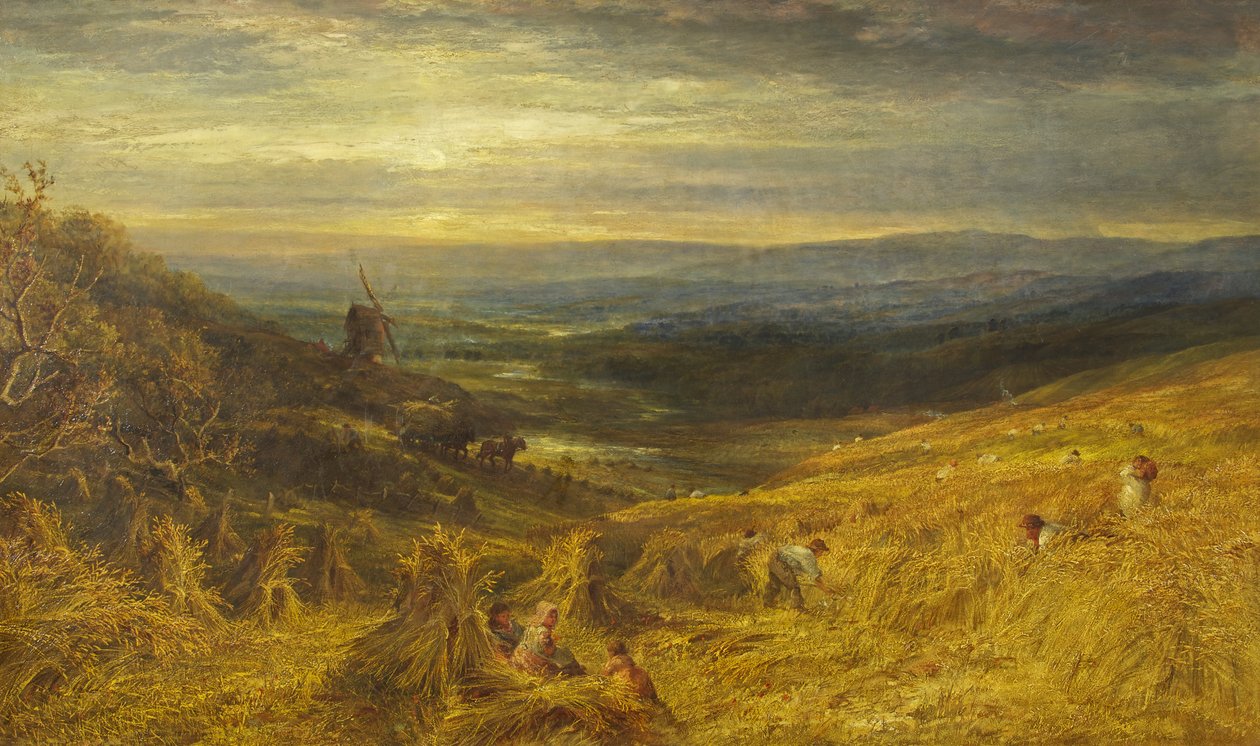 A Surrey Cornfield, ca. 1877 (olje på lerret) av George Lucas