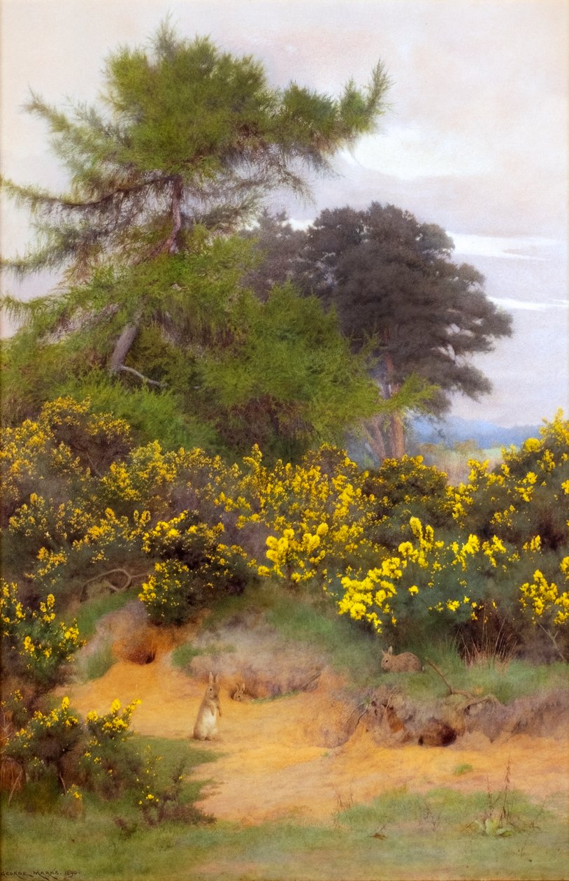  av George Marks