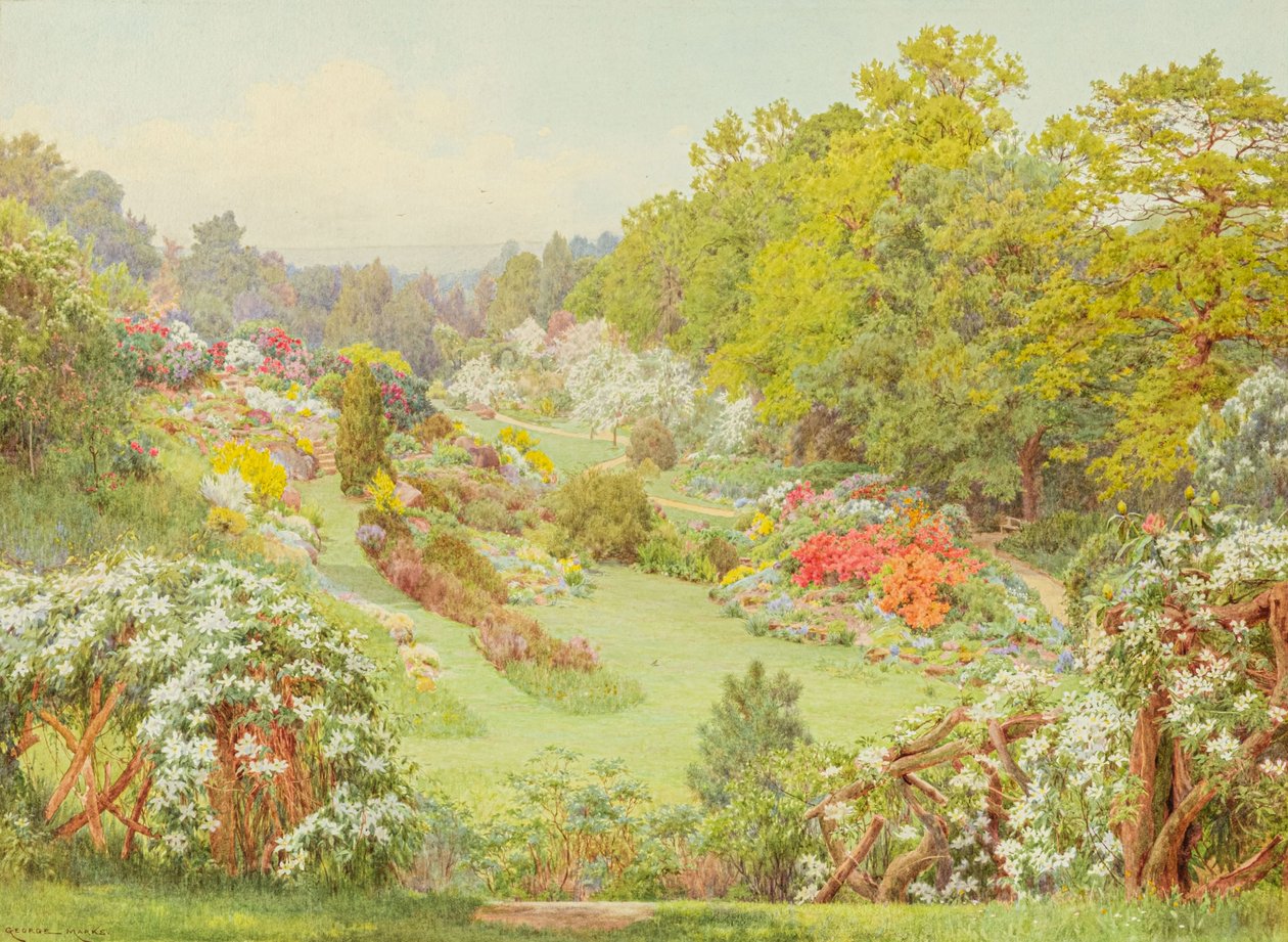  av George Marks